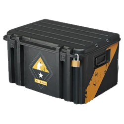 CS:GO Weapon Case 3