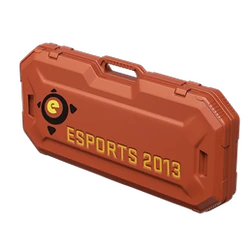 eSports 2013 Case