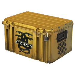 Operation Hydra Case