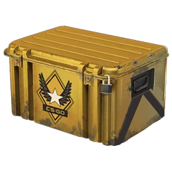 Winter Offensive Weapon Case